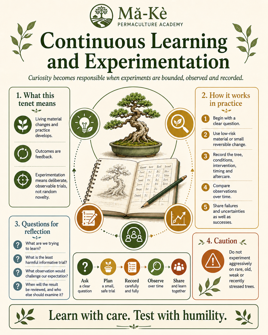 Bonsai tree and observation notebook surrounded by prompts to ask, plan, record, observe and share a bounded experiment, with reflection questions and a caution for vulnerable trees.
