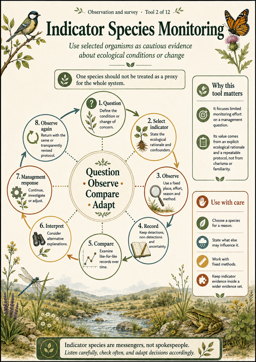 Circular eight-stage indicator-species monitoring cycle from question and indicator selection through observation, recording, comparison, interpretation, response and observation again.