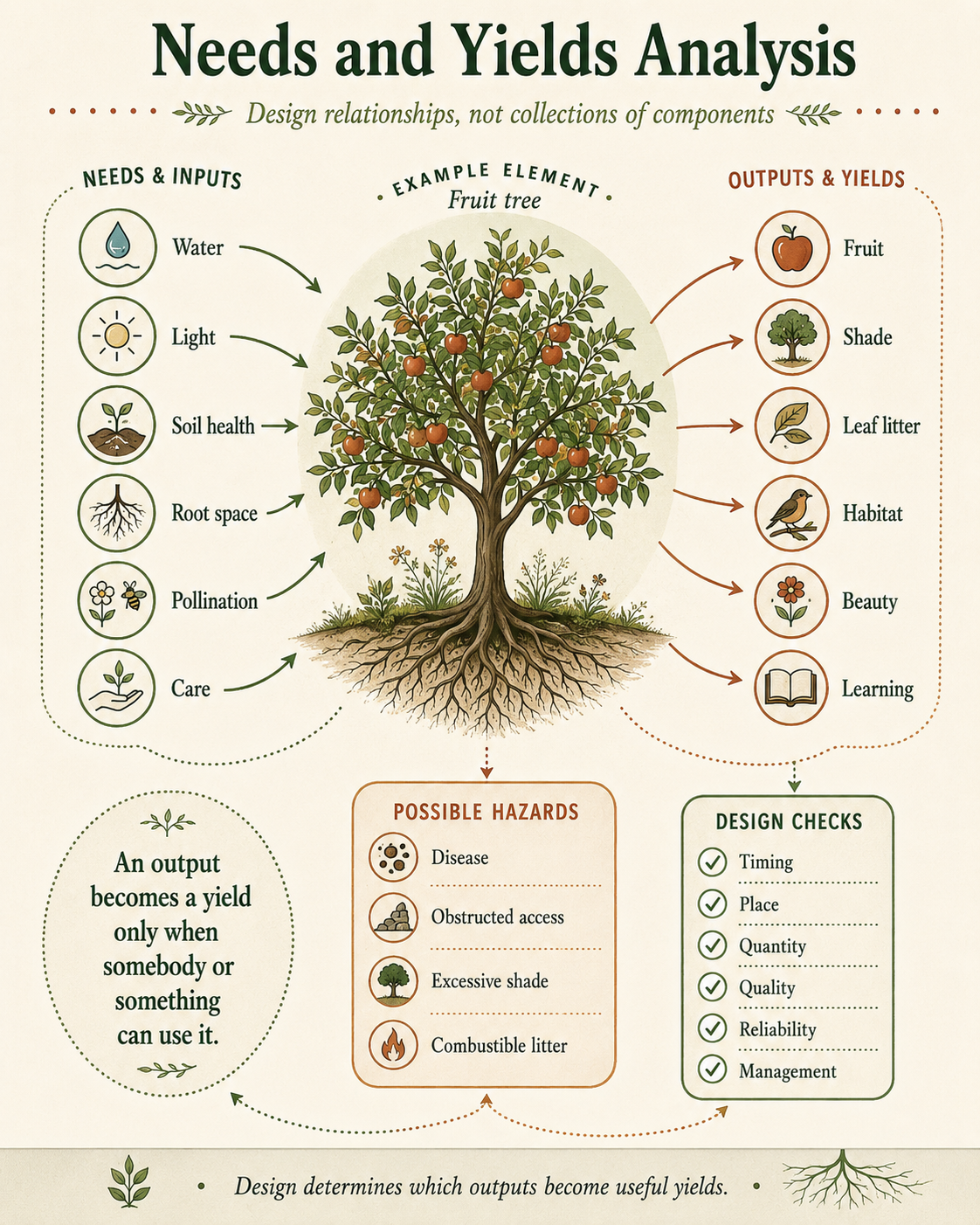 Needs-and-yields analysis of a fruit tree showing water, light, soil health, root space, pollination and care as inputs; fruit, shade, leaf litter, habitat, beauty and learning as outputs; together with possible hazards and design checks.