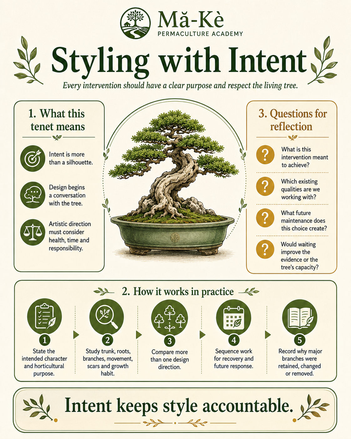 Bonsai tree framed by the meaning of styling with intent, a five-step practice sequence and questions for reflection about purpose, qualities, maintenance and timing.