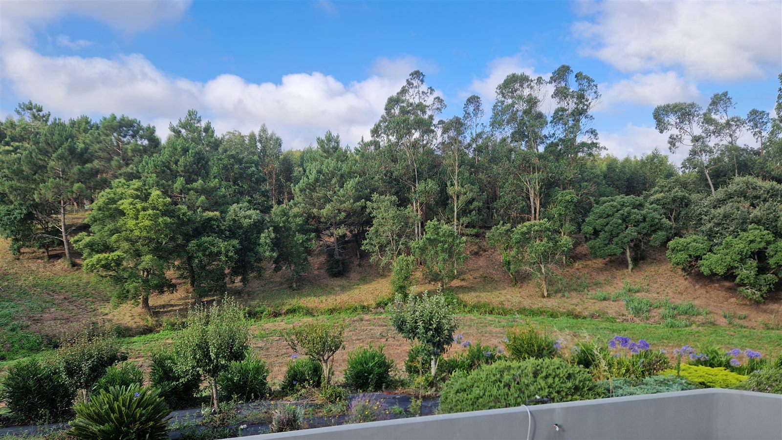 Vila Pinheiro landscape in Bairradas, Central Portugal